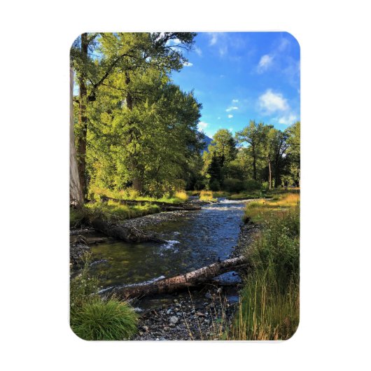 State Park Wallowa Lake, OR Magneet (Verticaal)