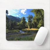 State Park Wallowa Lake, OR Muismat (Met muis)