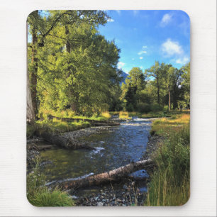 State Park Wallowa Lake, OR Muismat