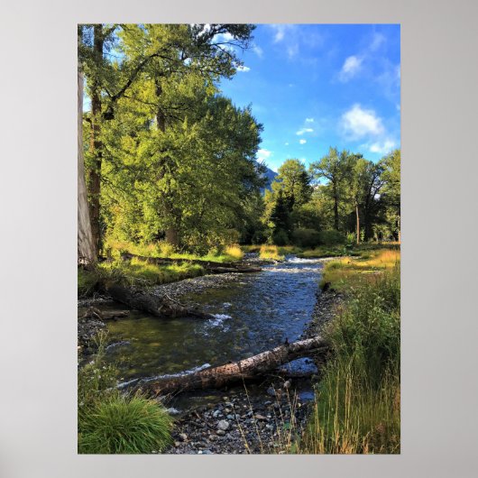 State Park Wallowa Lake, OR Poster (Voorkant)