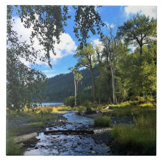 State Park Wallowa Lake, OR Tegeltje (Voorkant)