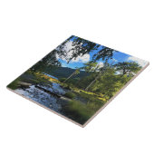 State Park Wallowa Lake, OR Tegeltje (Zijkant)