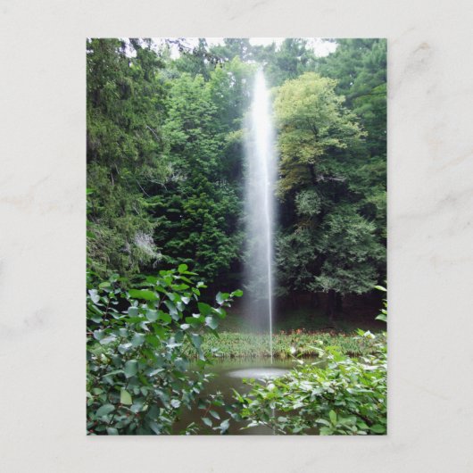 State Park Water Fountain Briefkaart (Voorkant)