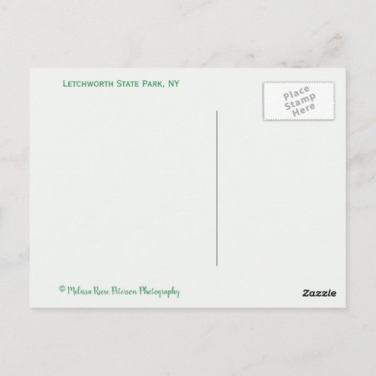State Park Watervalt Genesee Briefkaart (Achterkant)