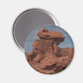 State Parks Magnet (Voorkant / Achterkant)