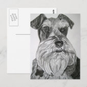State Schnauzer Briefkaart (Voorkant / Achterkant)