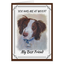 STATELY AUBURN SETTER MIX