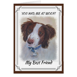 STATELY AUBURN SETTER MIX