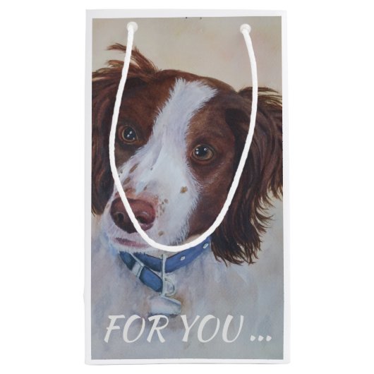 STATELY AUBURN SETTER MIX KLEIN CADEAUZAKJE (Achterkant)