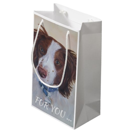 STATELY AUBURN SETTER MIX KLEIN CADEAUZAKJE (Achterkant Gekanteld)