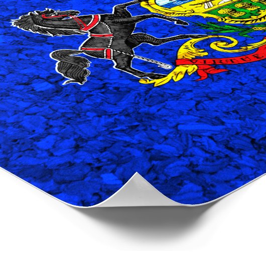 Statenvlag Pennsylvania Poster (Hoek)