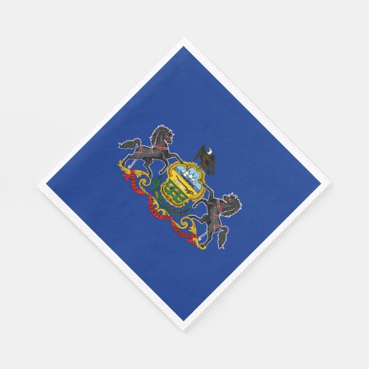 Statenvlag Pennsylvania Servet (Hoek)