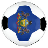 Statenvlag Pennsylvania Voetbal (Gedraaid)