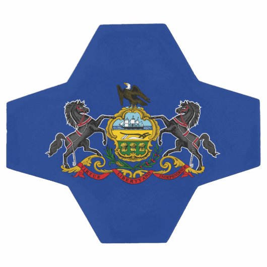 Statenvlag Pennsylvania Voetbal (Enkel)