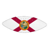 Statenvlag van Florida American Football (Paneel)