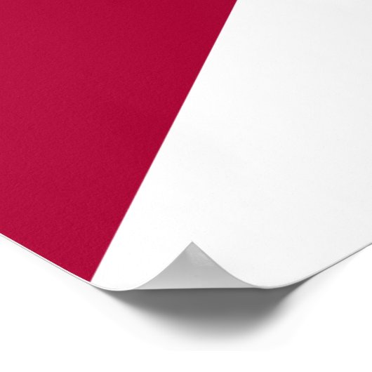 Statenvlag van Florida Poster (Hoek)