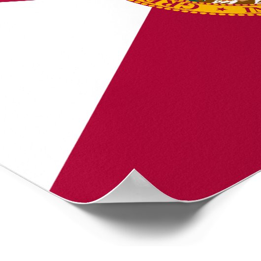 Statenvlag van Florida Poster (Hoek)