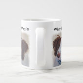 STATIG AUBURNRETRIEVER-MENGSEL GROTE KOFFIEKOP (Achterkant)