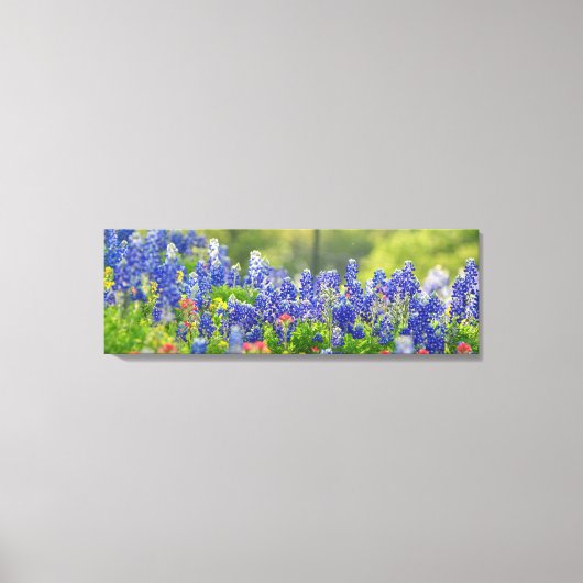Statige Bluebonnets Canvas Afdruk (Voorkant)