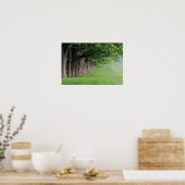 Statige rij bomen, Louisville, Kentucky. Poster (Keuken)