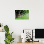Statige rij bomen, Louisville, Kentucky. Poster (Thuiskantoor)