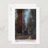 Station Big Tree Briefkaart (Voorkant / Achterkant)