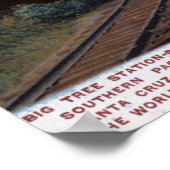 Station Big Tree Poster (Hoek)