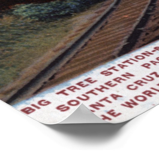 Station Big Tree Poster (Hoek)