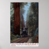 Station Big Tree Poster (Voorkant)