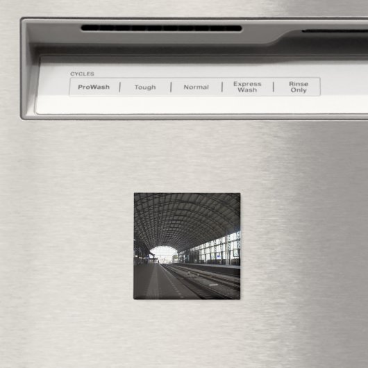 Station Haarlem Magneet (Insitu (Vaatwasser))