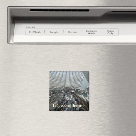 Station Luik-Guillemins Magneet (Insitu (Vaatwasser))