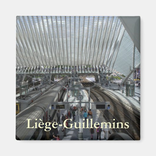 Station Luik-Guillemins Magneet (Voorkant)