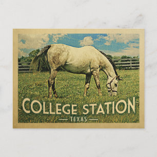 Station Texas Horse Boerderij - Vintage Travel Briefkaart