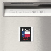 Station van College TX Magneet (Insitu (Vaatwasser))