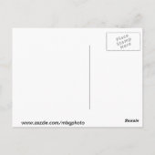 Station van de Unie Briefkaart (Achterkant)