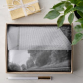 Station Ventura Train Tissuepapier (Geschenk)
