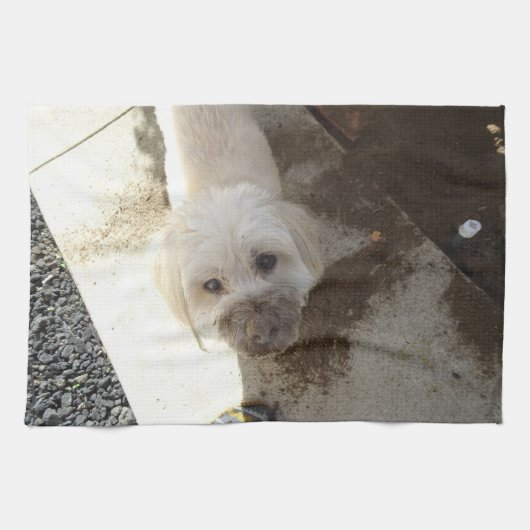 Stationair draaiende drager met vuil gezicht theedoek (Horizontaal)