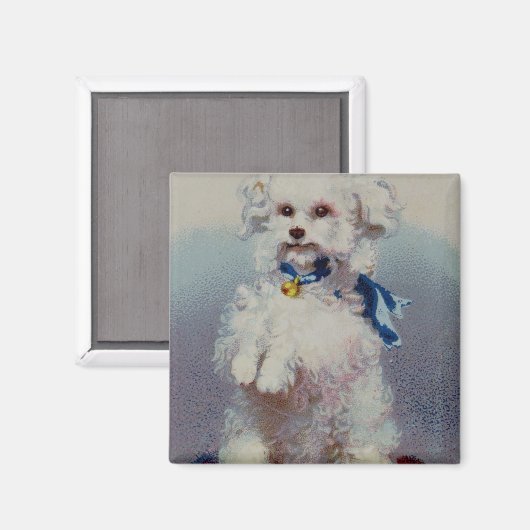 Stationair meetinstrument met blauw lint magneet (Voorkant / Achterkant)