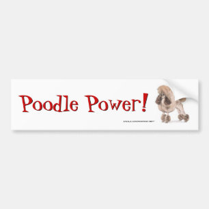 Stationair Show Bumpersticker