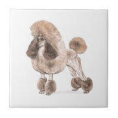 Stationair Show Tegeltje (Voorkant)