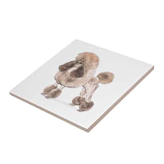 Stationair Show Tegeltje (Zijkant)