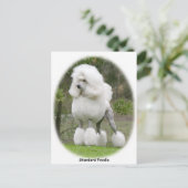 Stationair standaard 9Y199D-029 Briefkaart (Staand voorkant)