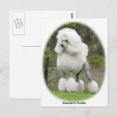 Stationair standaard 9Y199D-029 Briefkaart (Voorkant / Achterkant)