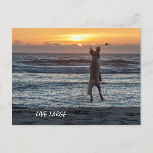 Stationaire dagbladen Live groot Briefkaart