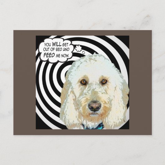 Stationaire dagboeken voeden me Briefkaart (Voorkant)