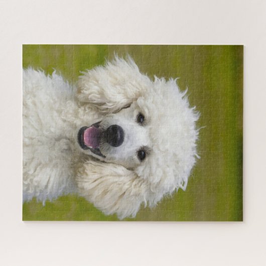 Stationele honden. legpuzzel (Horizontaal)