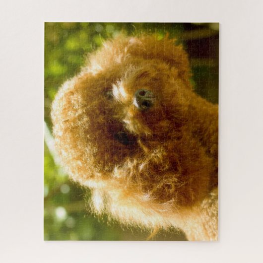 Stationele honden. legpuzzel (Verticaal)