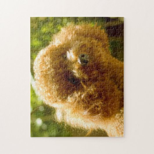 Stationele honden. legpuzzel (Verticaal)