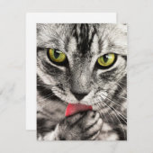 Stationery Greeting Cards Holida-uitnodigingen Feestdagenkaart (Voorkant / Achterkant)