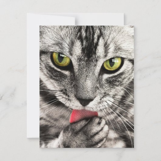 Stationery Greeting Cards Holida-uitnodigingen Feestdagenkaart (Voorkant)